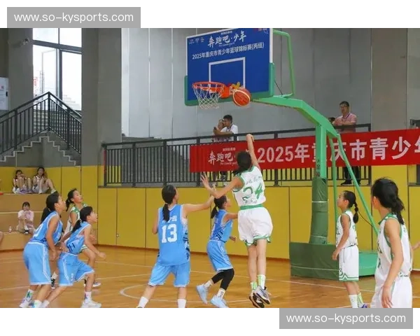 积分榜篮球：让每一场比赛都成为你的热血投资