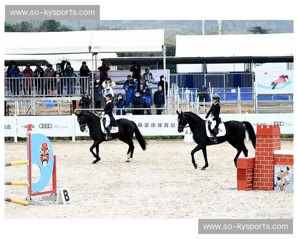 赛马预测：洞悉赛道的智慧与乐趣